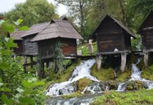 The Ottoman Succession Law and the Fate of Royal Brothers